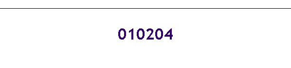 010204