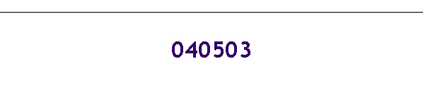 040503