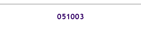 051003