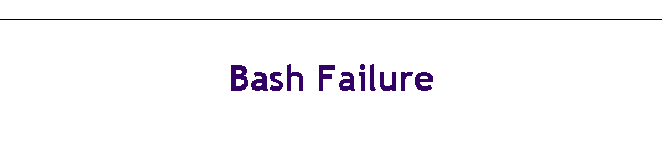 Bash Failure